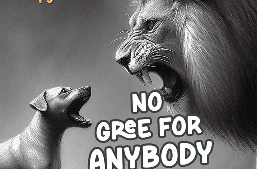  Spyro – No Gree For Anybody (NGFA) (Mp3 Download)