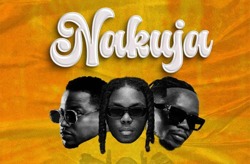 Tommy Flavour – Nakuja Ft. Marioo & Bayanni (Mp3 Download)
