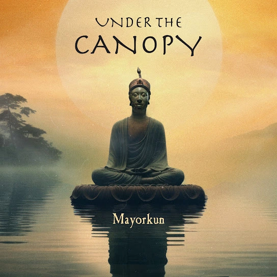 mayorkun-–-under-the-canopy-(mp3-download)