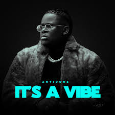 anyidons-–-it’s-a-vibe-(album)-(mp3-download)