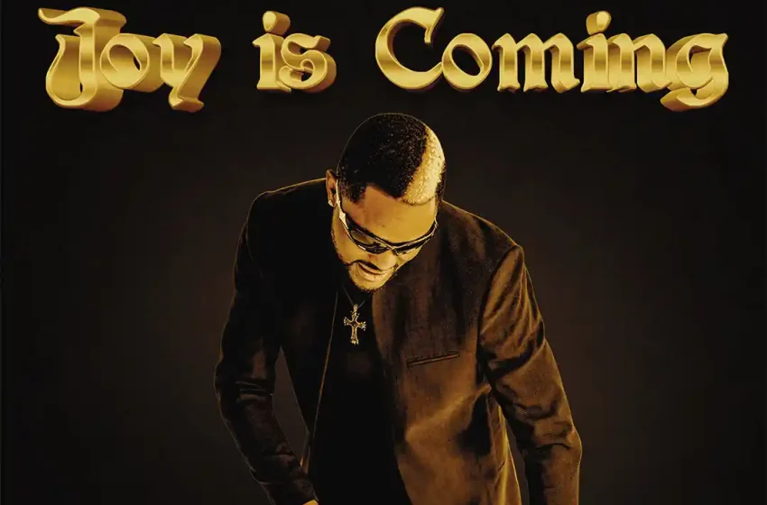 fido-–-joy-is-coming-(mp3-download)