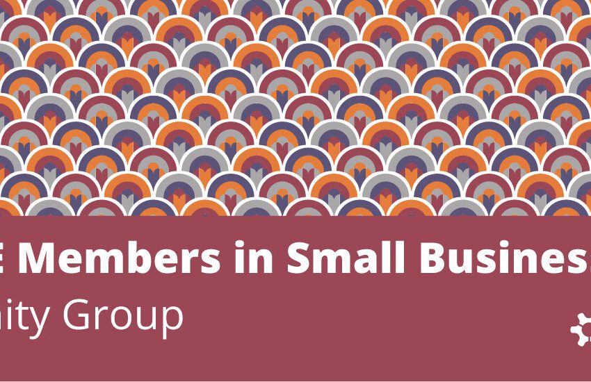  Exploring SWE Affinity Groups: SWE Members in Small Businesses