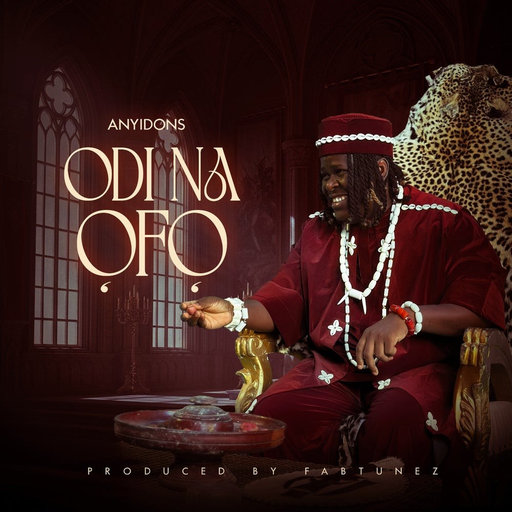 anyidons-–-odi-na-ofo-(lyrics)