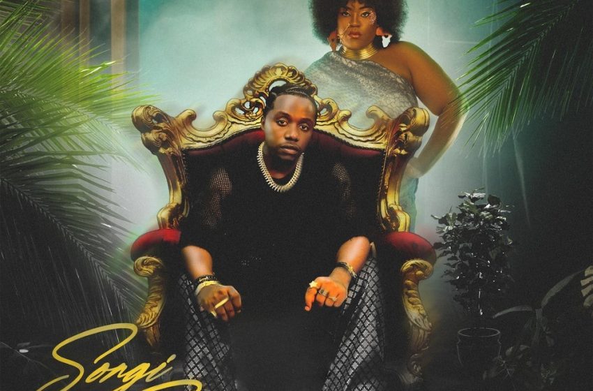  Rayvanny – Songi Songi ft. Salima Chica (Lyrics)