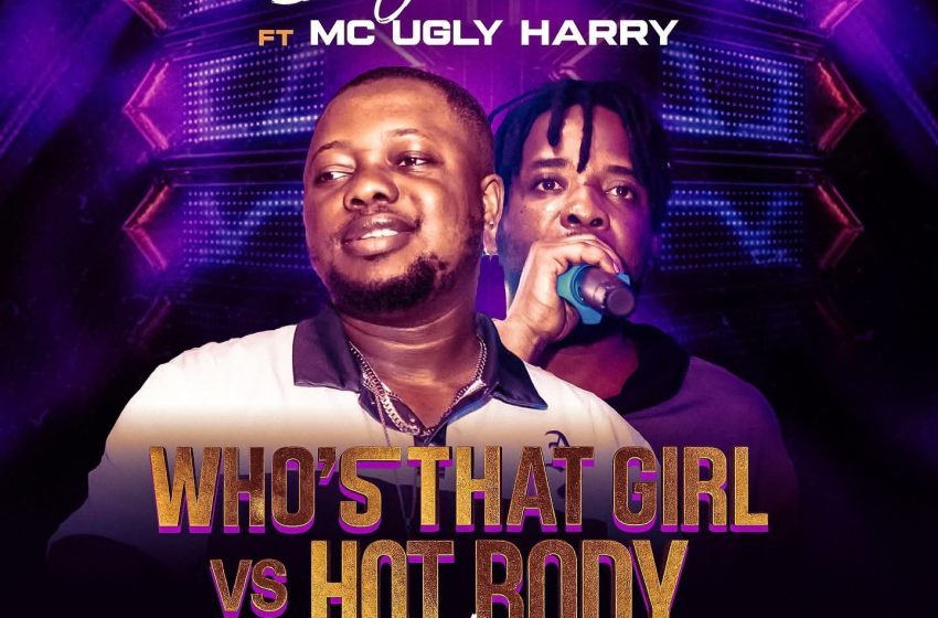  DJ Dice – Who’s That Girl Vs Hot Body Mixtape Ft. MC Ugly Harry (Mp3 Download)