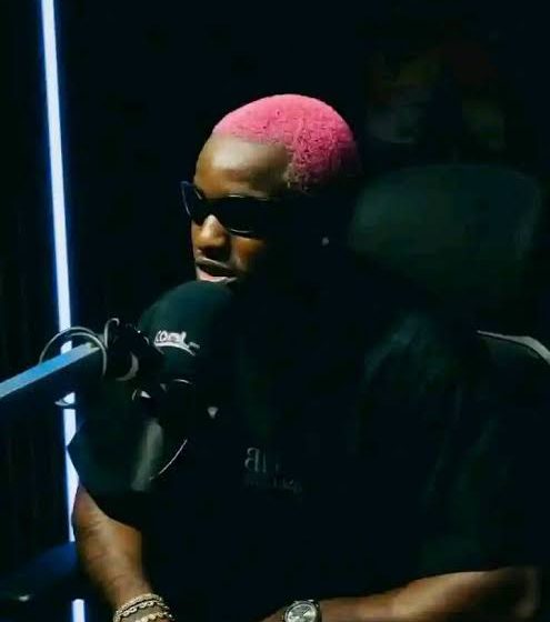 ruger-–-issue-(mp3-download)