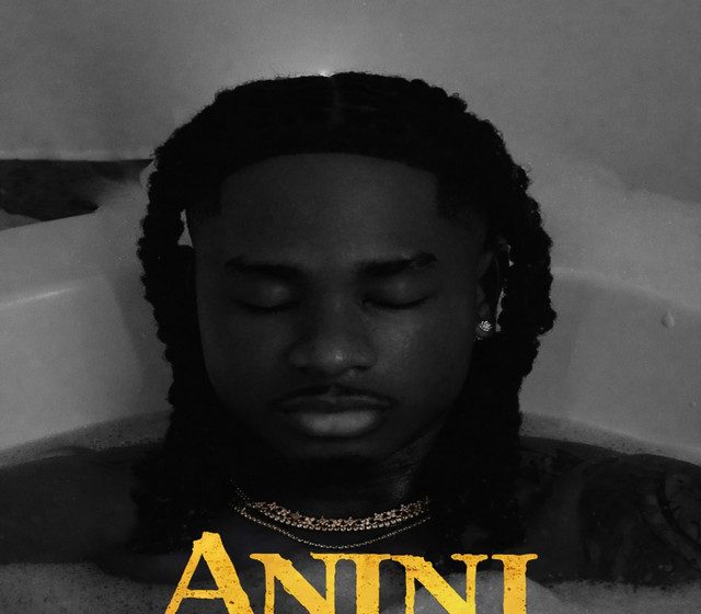 lil-kesh-–-anini-(thief)