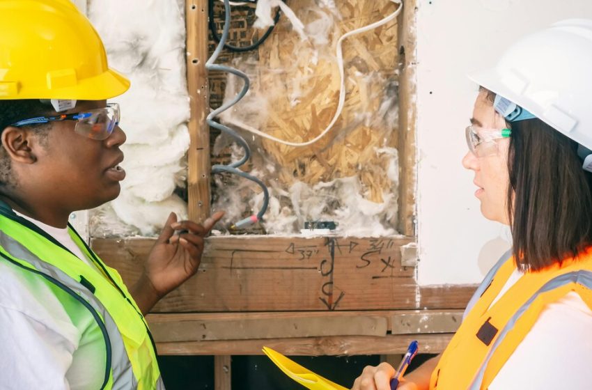  How Mentorship Shapes Engineering Pathways